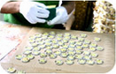 Quality inspection packaging